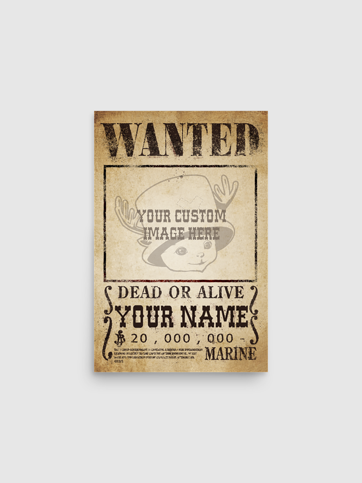 One Piece Personalized Wanted Poster