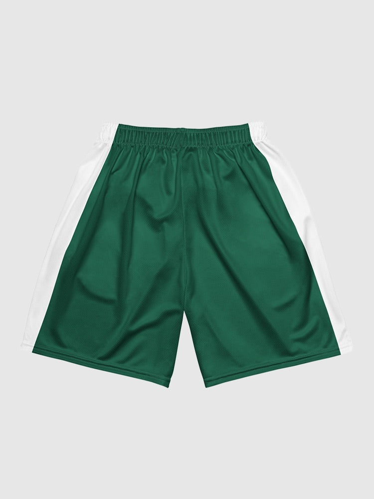 Stranger Things Hawkins High School Basketball Shorts