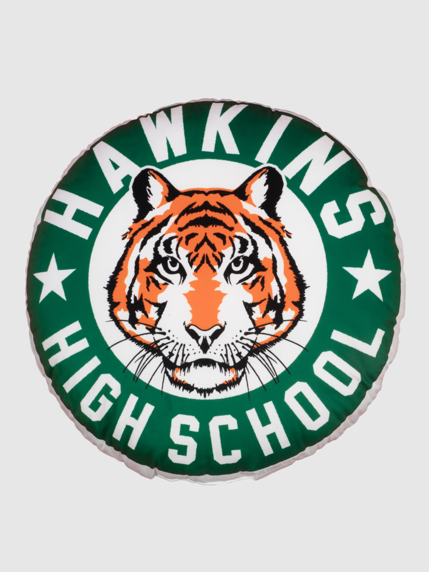 Stranger Things Hawkins High School Pillow
